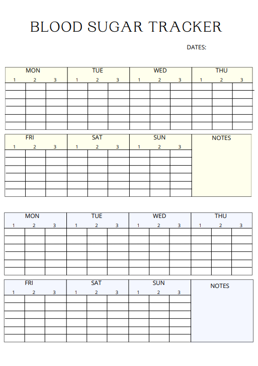 Blood Sugar Planner | Your Daily Diabetes Management & Wellness Planner (Printable PDF)